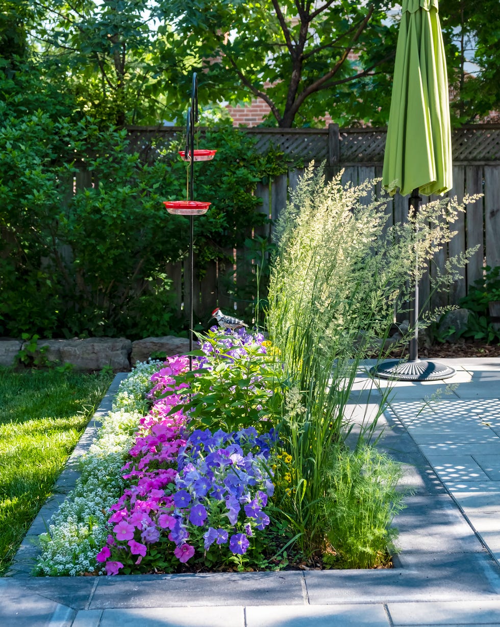 beautiful small garden plans filled with flowers and two red hummingbird feeders