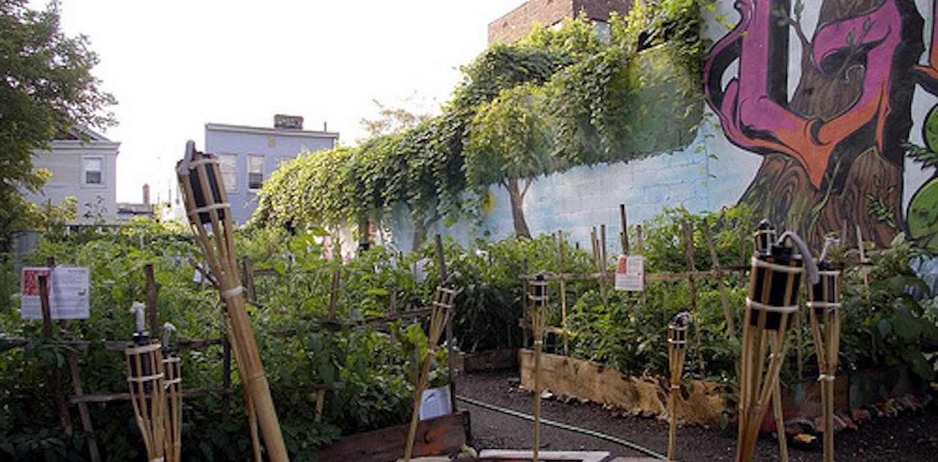 Not all neighborhood gardens are environmental equals