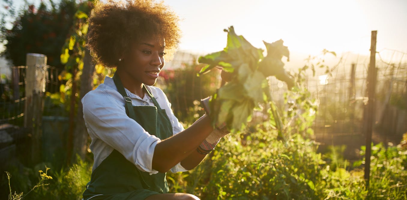 why medical docs are prescribing gardening comparatively than treatment