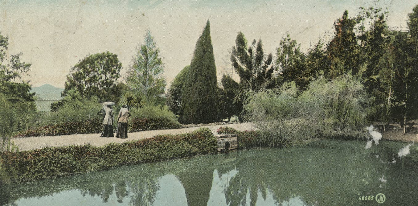 Most individuals historic earlier, native local weather change current, and attainable method forward for Australia’s botanic gardens